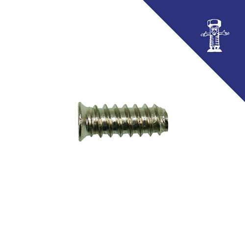 Euro vijak za pante KR 5041 6.3x11 Zn, kratak i precizan opis za SEO (alt text na img elementu). Ako se na slici nalazi neki logotip - nemoj ga spominjati. Nemoj rečenice započinjati sa 'Slika prikazuje ...' i s
