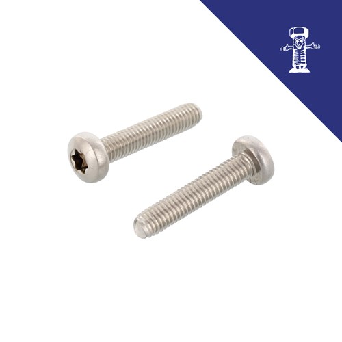 Dva samorezna vijka DIN 7500C M 3x10 s torx glavom na bijeloj pozadini.