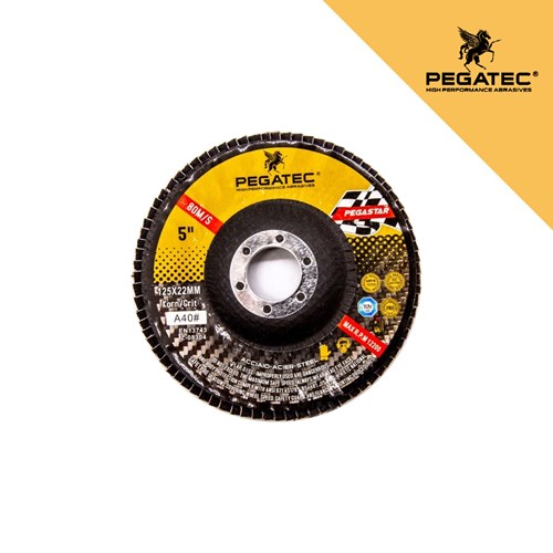 PEGATEC lamelirani disk za metal i drvo 125x22mm, gr.100 – visokokvalitetan alat za precizno rezanje i brušenje.